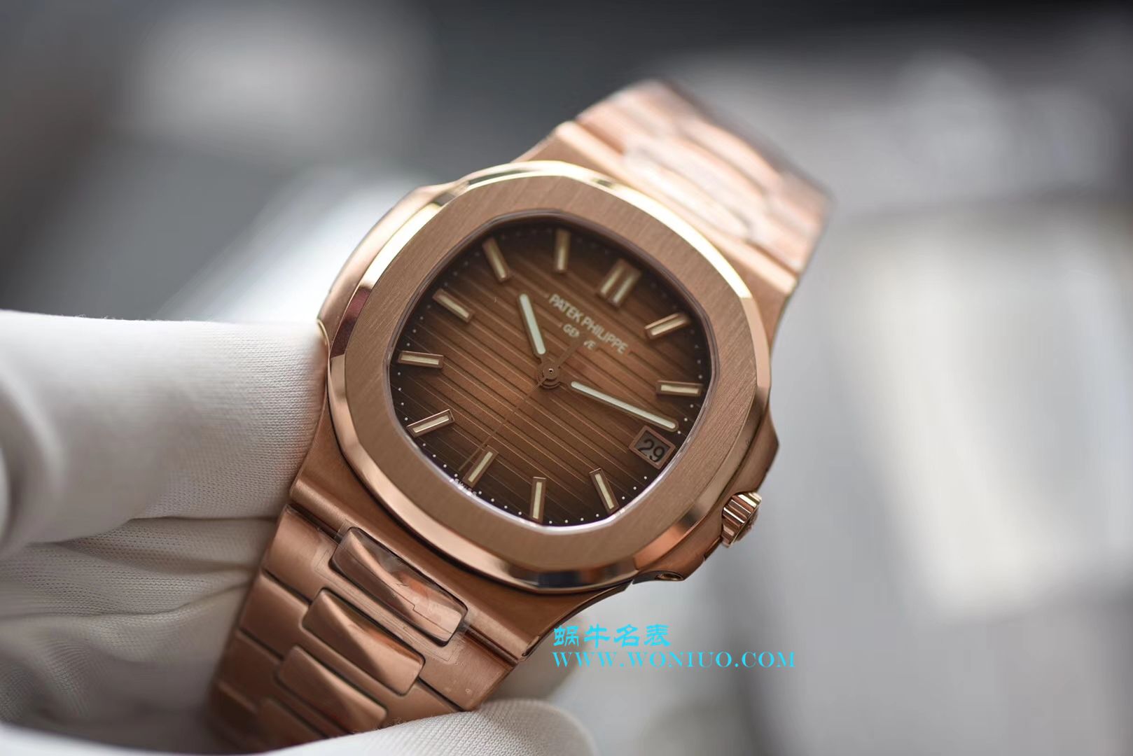   PF腕表  百达翡丽运动系列5711/1R-001腕表(鹦鹉螺) / BD223