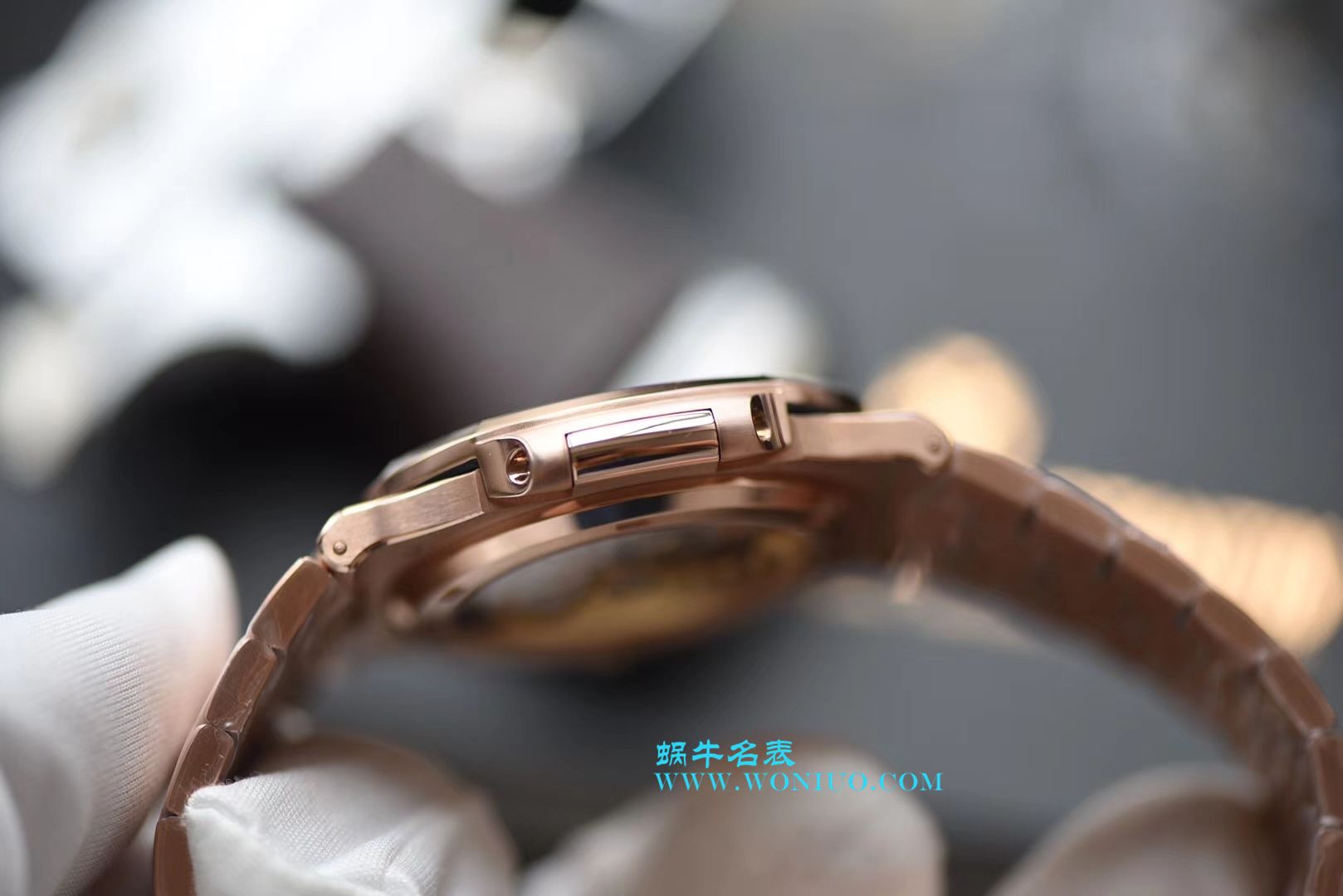   PF腕表  百达翡丽运动系列5711/1R-001腕表(鹦鹉螺) / BD223