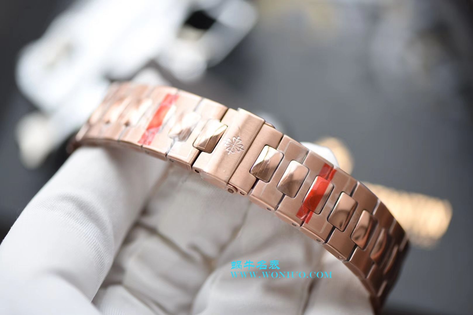   PF腕表  百达翡丽运动系列5711/1R-001腕表(鹦鹉螺) / BD223