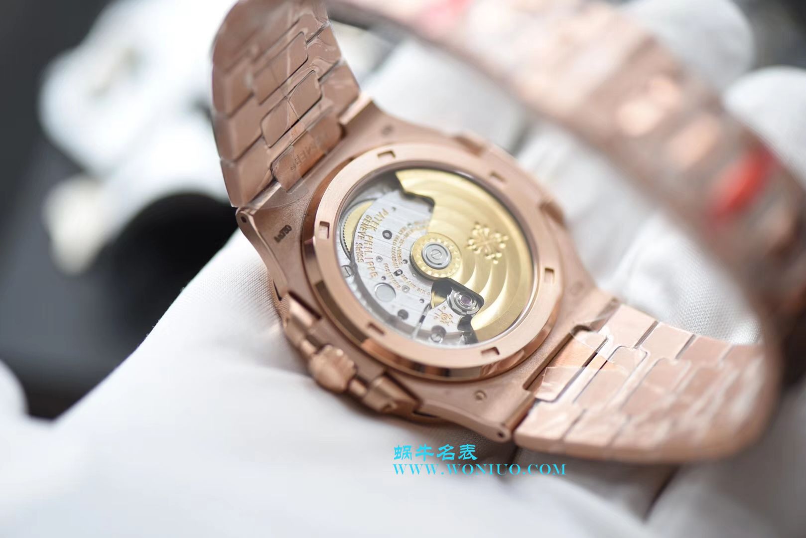   PF腕表  百达翡丽运动系列5711/1R-001腕表(鹦鹉螺) / BD223