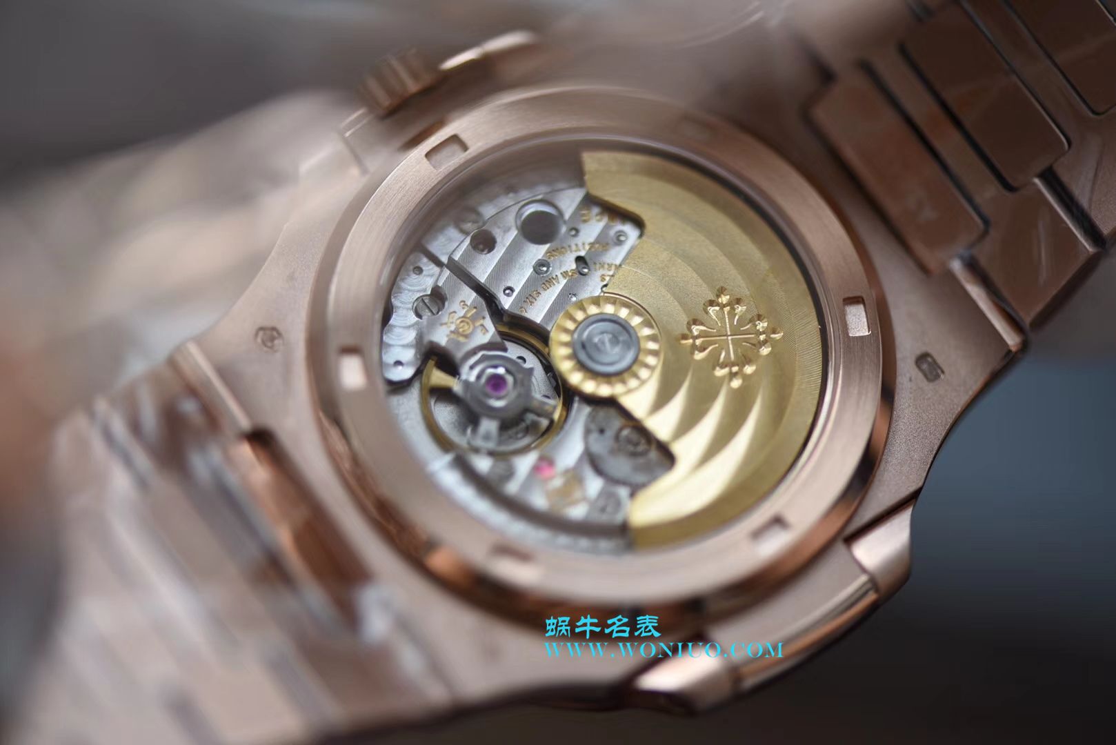   PF腕表  百达翡丽运动系列5711/1R-001腕表(鹦鹉螺) / BD223