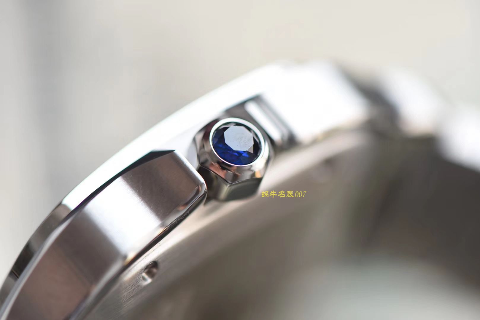 卡地亚山度士系列WSSA0013（大号）腕表  KOR   / K193