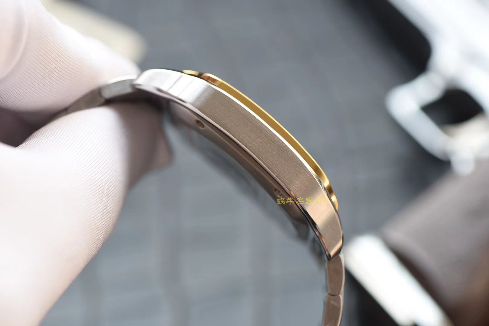 卡地亚山度士系列W2SA0006（大号）腕表  KOR   / K198