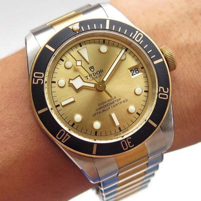   ZF厂帝舵  帝舵碧湾系列M79733N-0004腕表