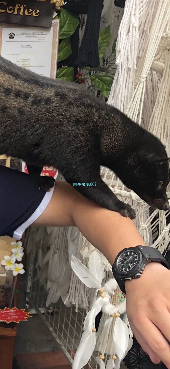 宇舶系列301.CI.1770.RX腕表  HBB-V6厂成名作、宇舶系列ALLBLACK全陶瓷爆款   / YBBF022.1MM