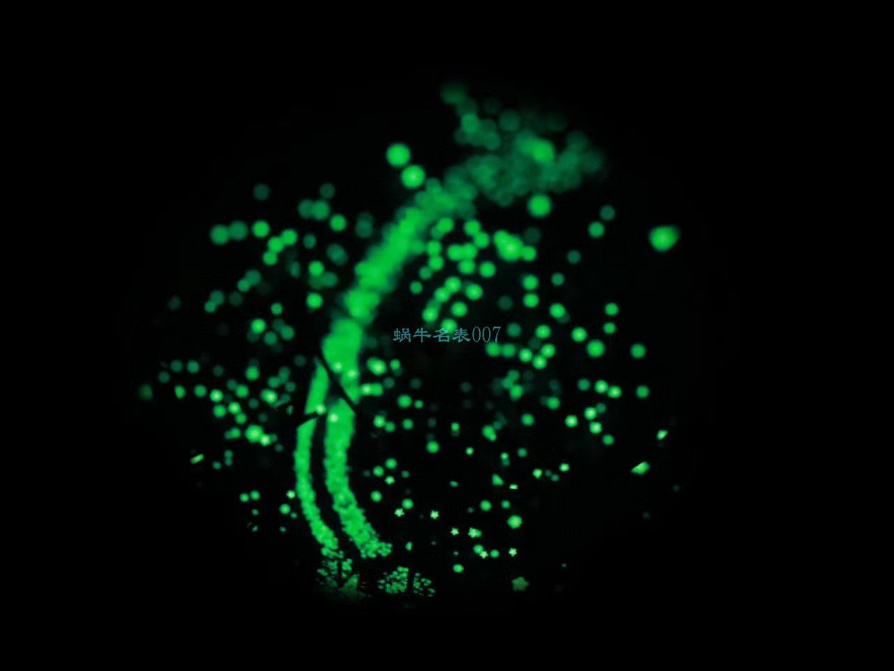 TZ厂百达翡丽星空特制5106R慈善款 / BD317