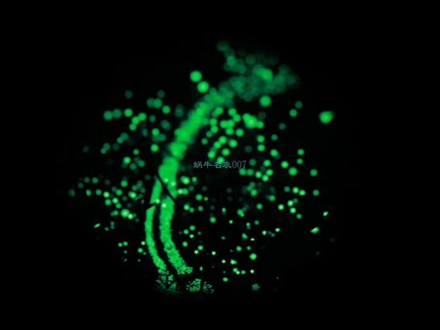 TZ厂百达翡丽高星空特制5106R慈善款 / BD320