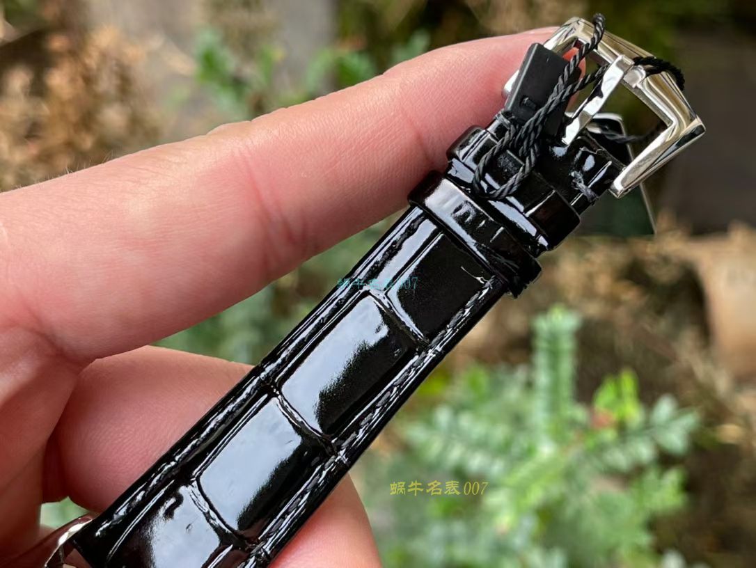 FL珐琅厂百达翡丽5077P微绘珐琅系列腕表「巴黎圣母院的石制怪兽」 / BD368