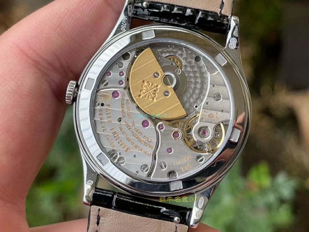 FL珐琅厂百达翡丽5077P微绘珐琅系列腕表「巴黎圣母院的石制怪兽」 / BD368